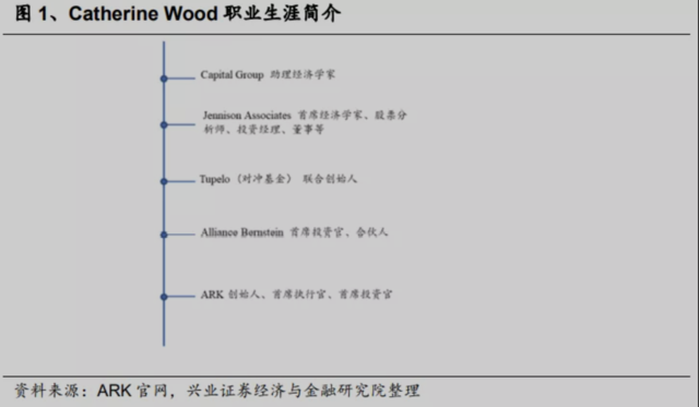 Cathie Wood 木頭姊是誰？ ARK ETF 有哪些？2023 年能投資破壞式創新嗎